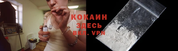 шишки Саяногорск